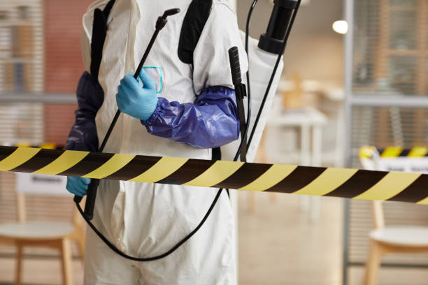 Professional Odor Removal technician working in Cecil, WI